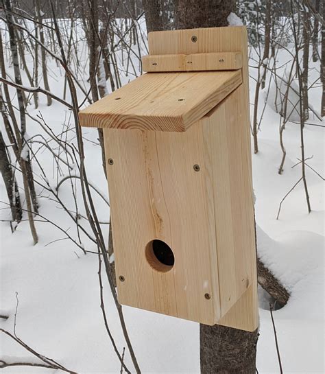 roosting boxes for chickadees